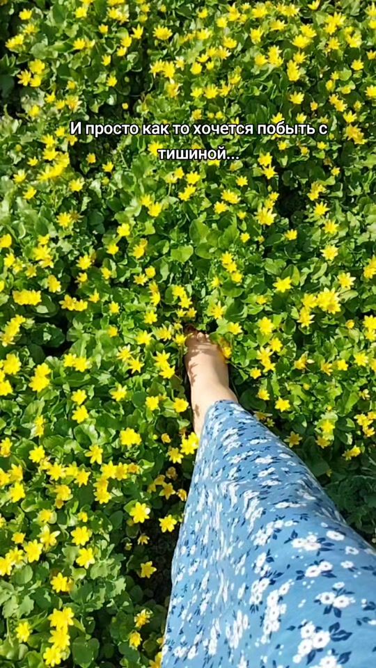 TikTok video thumbnail by __gargona__01__