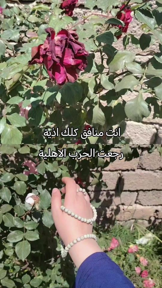 TikTok video thumbnail by zh_o_21