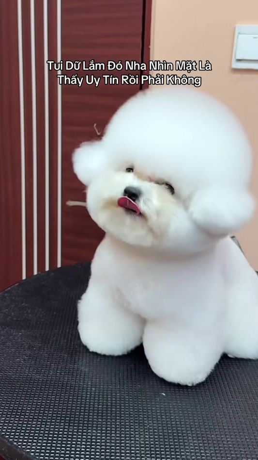 TikTok video thumbnail by 1405pet