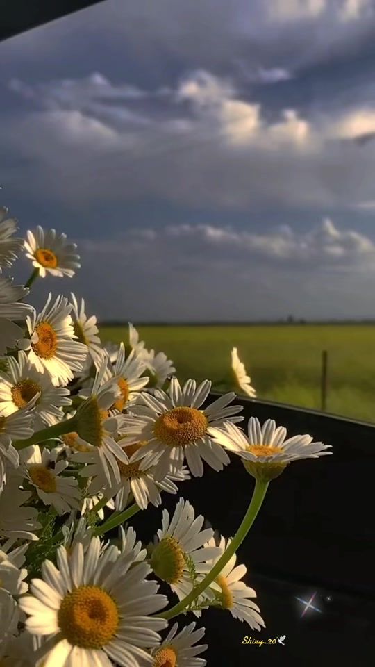 TikTok video thumbnail by shiry.33