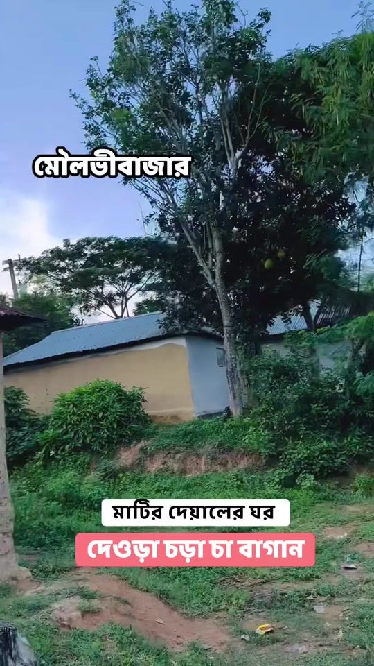 TikTok video thumbnail by 78sumaiyajannat78