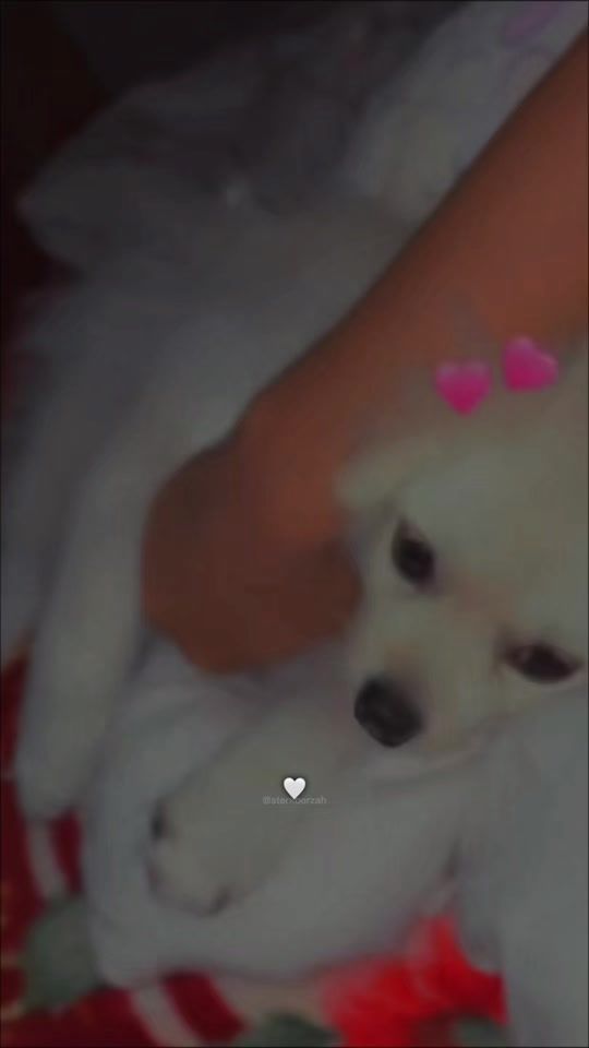 TikTok video thumbnail by _sithu.uu09_
