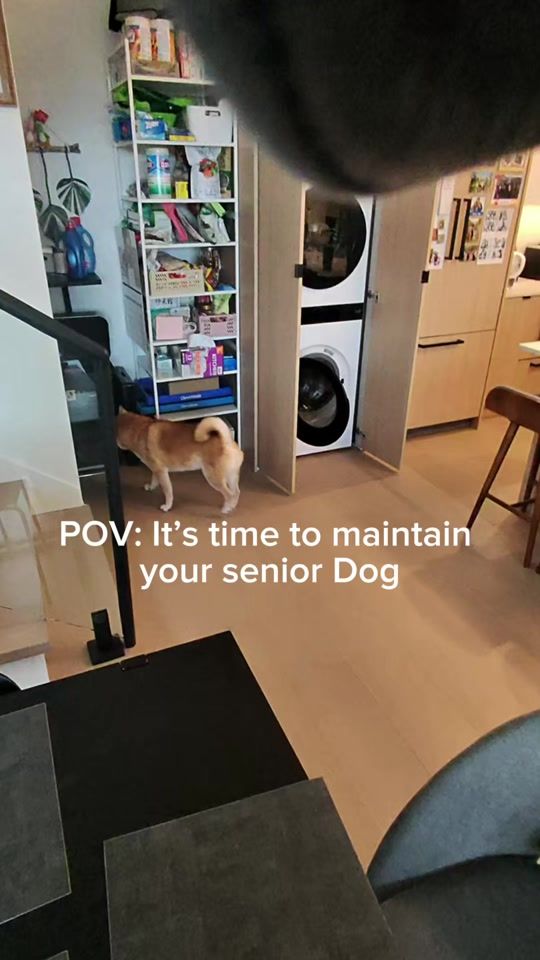 TikTok video thumbnail by yeedasu