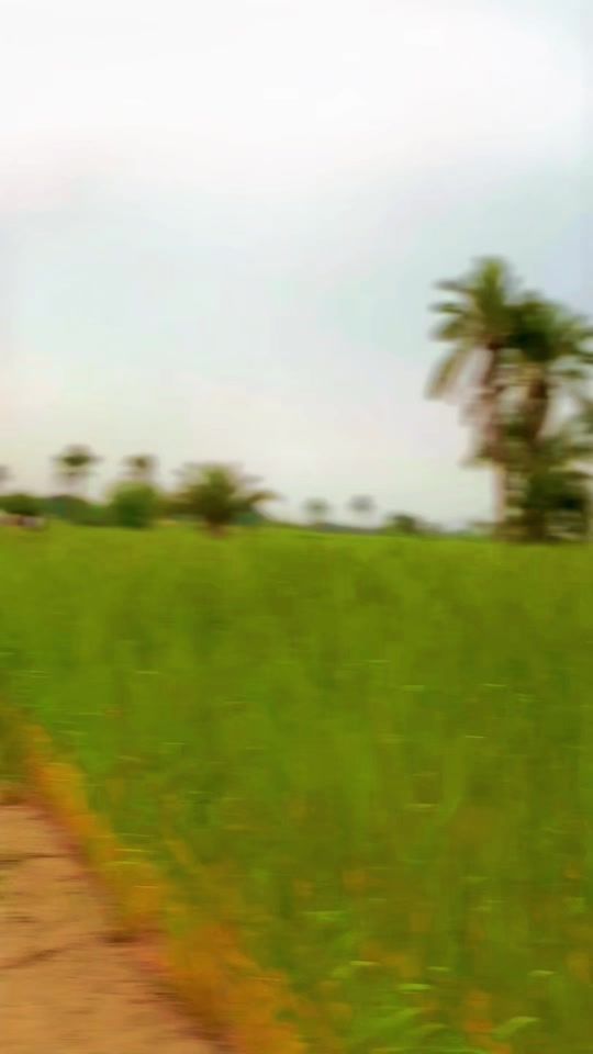 TikTok video thumbnail by sami__khan__55