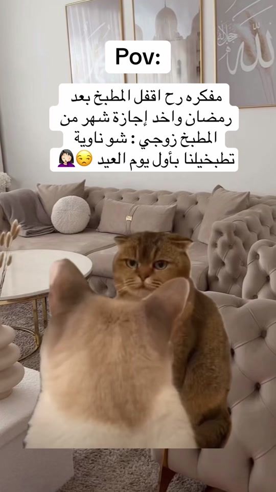 TikTok video thumbnail by dalouaa.97