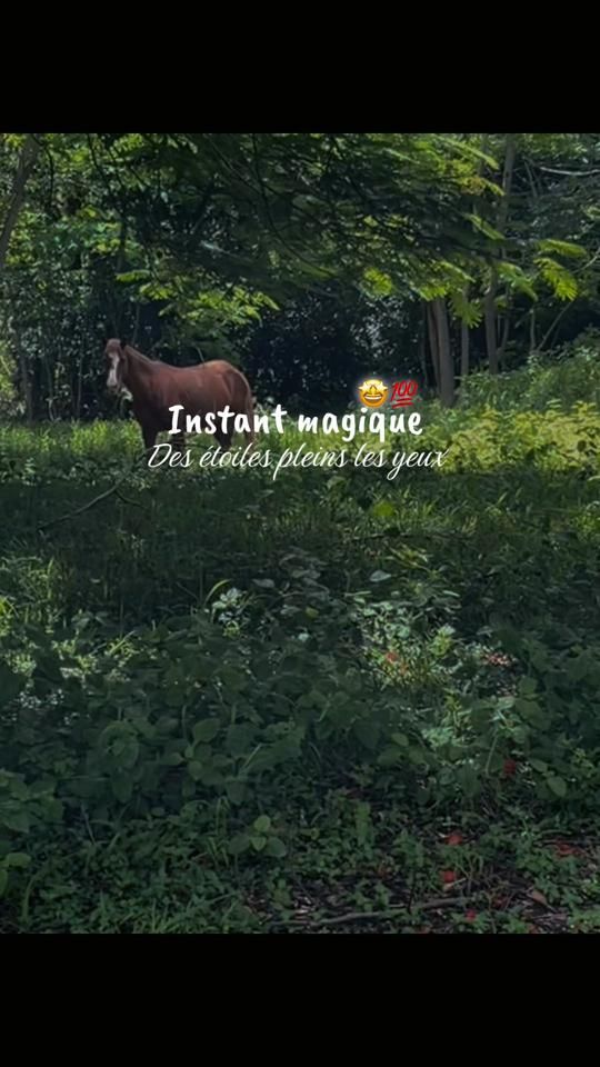 TikTok video thumbnail by __texasknky