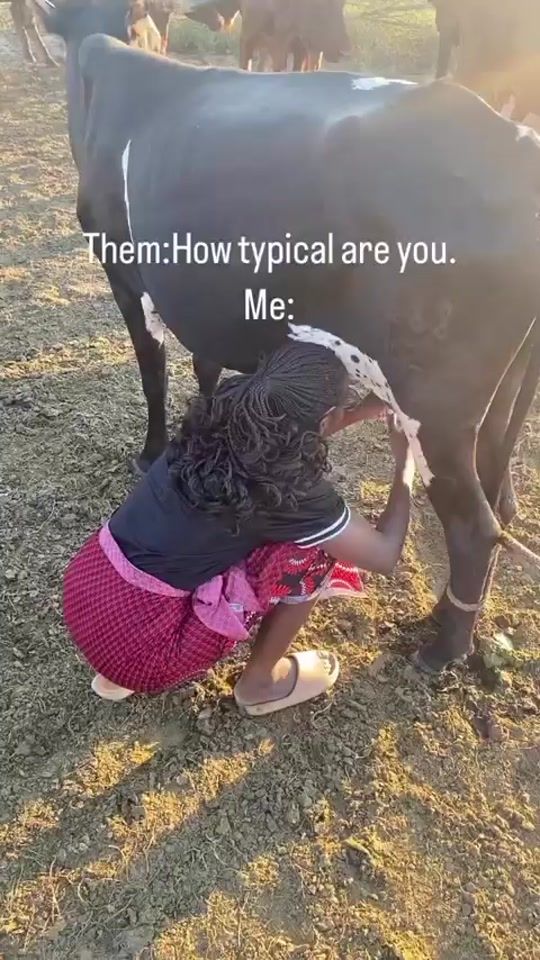TikTok video thumbnail by mintu_lyon