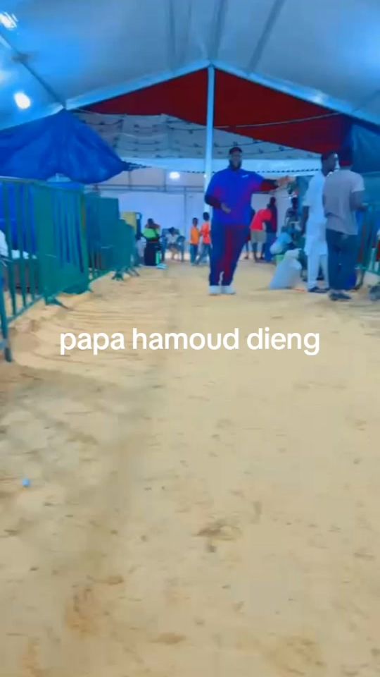 TikTok video thumbnail by papa.hamoud