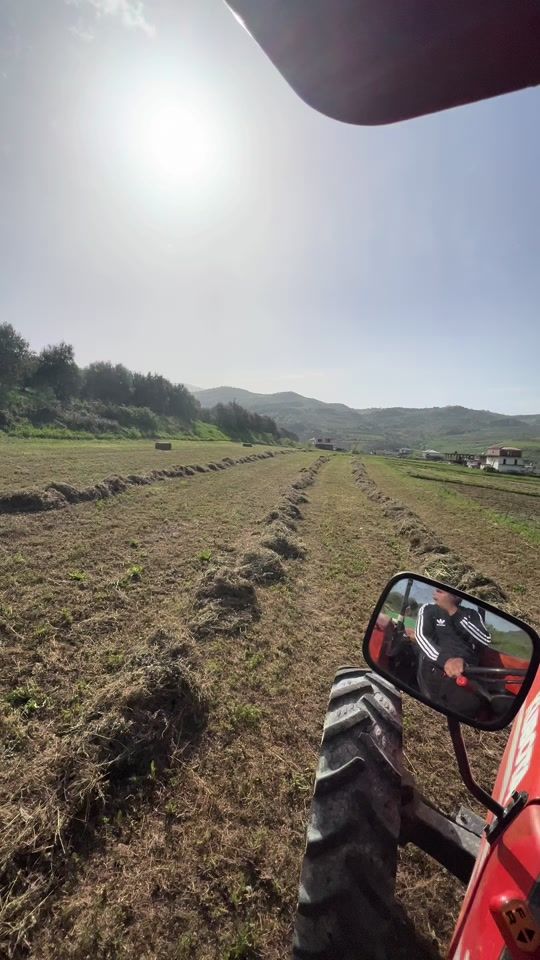 TikTok video thumbnail by arges_xeba