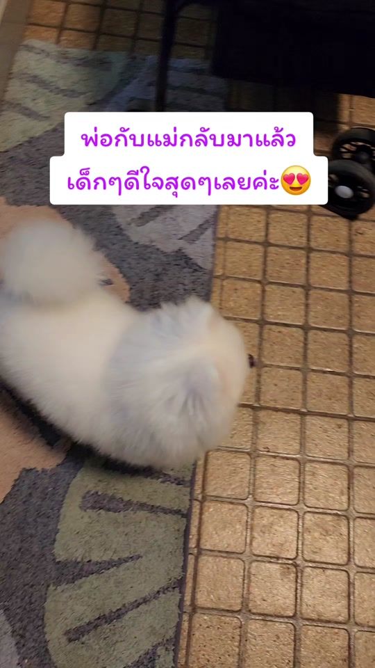 TikTok video thumbnail by deaw3leg