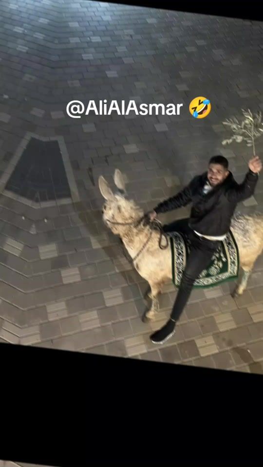 TikTok video thumbnail by abuyoussef8990