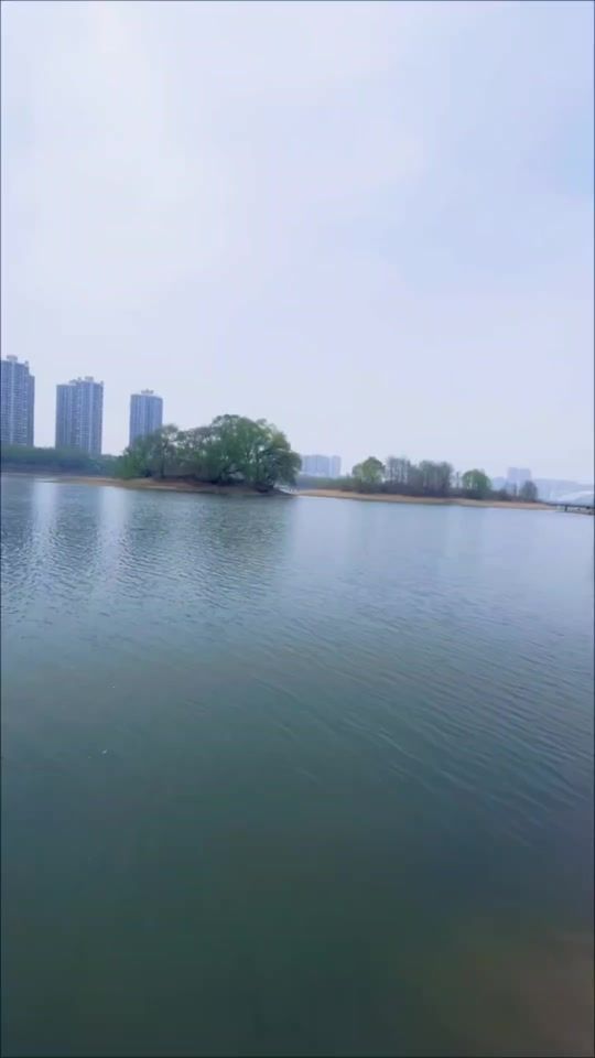 TikTok video thumbnail by user6538854575302