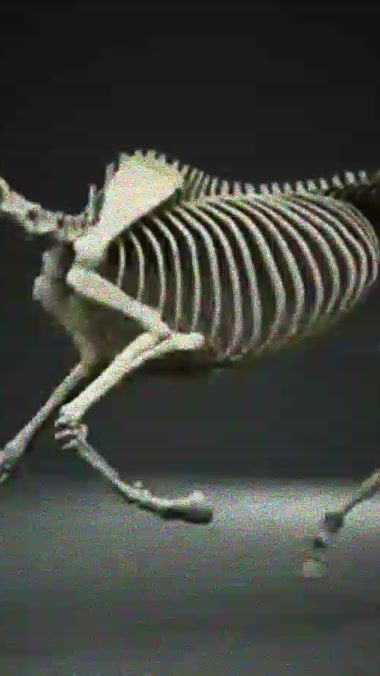 TikTok video thumbnail by vincent_laww