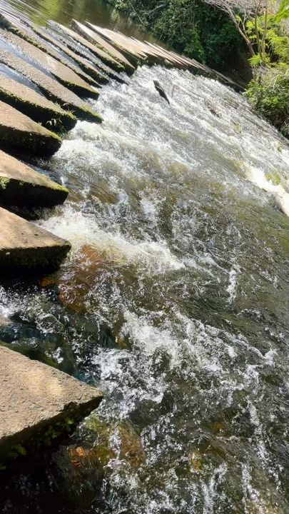 TikTok video thumbnail by loannis01