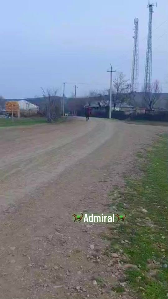 TikTok video thumbnail by ramo7528