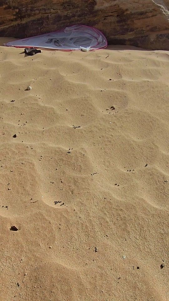 TikTok video thumbnail by houktimisoulutan