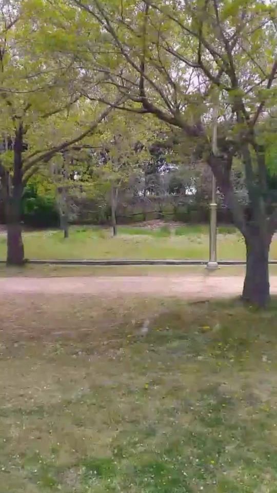 TikTok video thumbnail by kim.cheolho