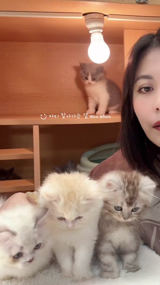 TikTok video thumbnail by anjoy650520