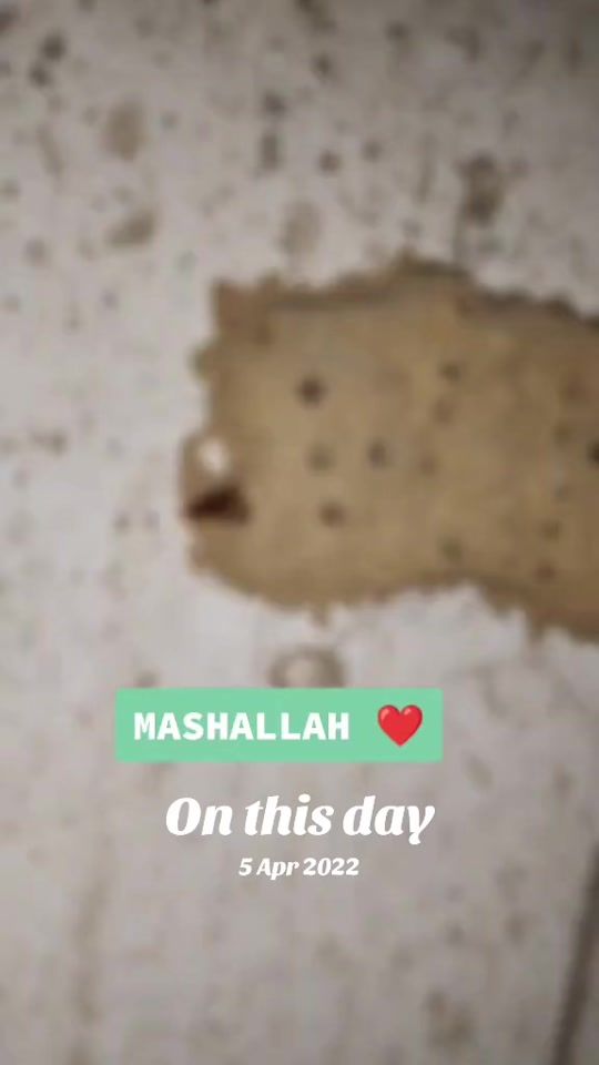 TikTok video thumbnail by f_funny_clips