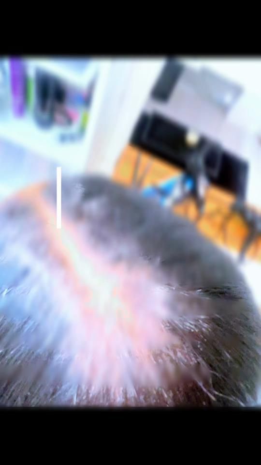 TikTok video thumbnail by braidsbycedric