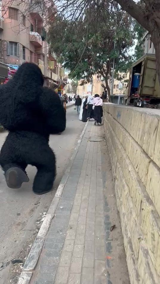 TikTok video thumbnail by tahaturky4