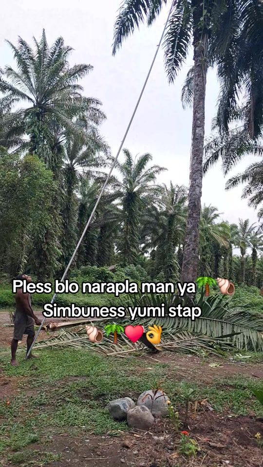 TikTok video thumbnail by samuelomin