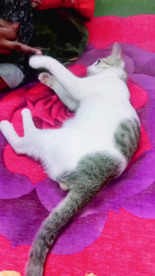 TikTok video thumbnail by user.jara2