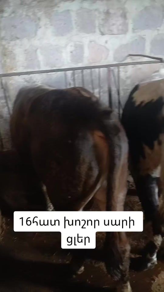 TikTok video thumbnail by 1232__2