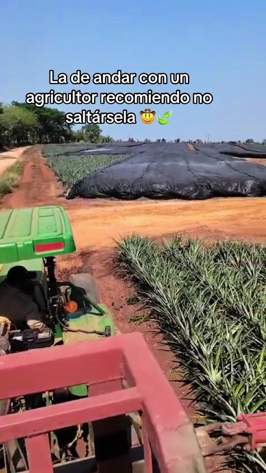 TikTok video thumbnail by manu_palacioss