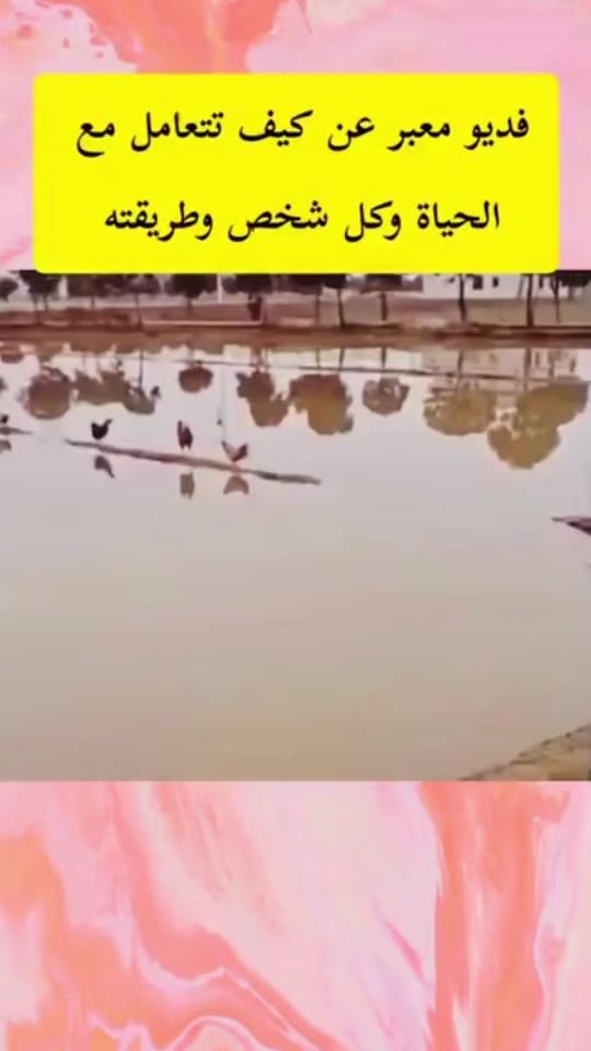 TikTok video thumbnail by szdxfc36