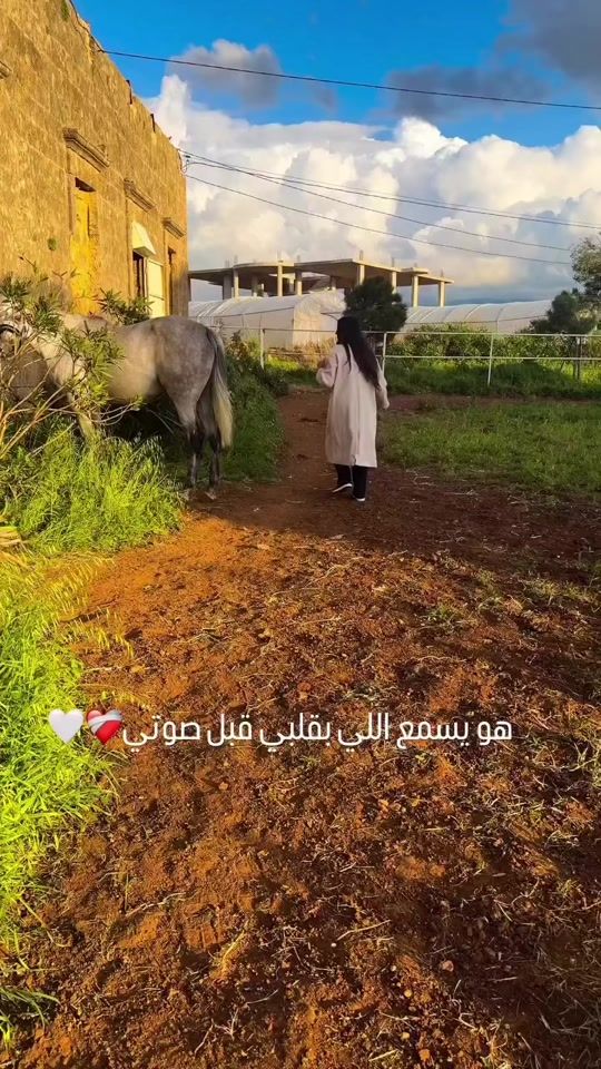TikTok video thumbnail by saraabla2