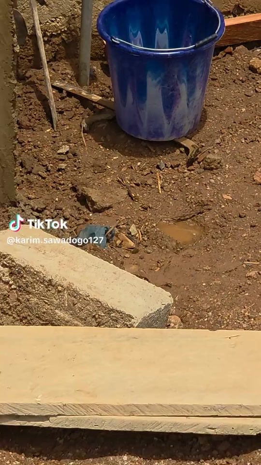 TikTok video thumbnail by petitc.f.a0