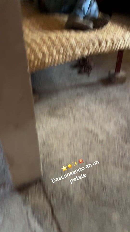 TikTok video thumbnail by adyhernandez063