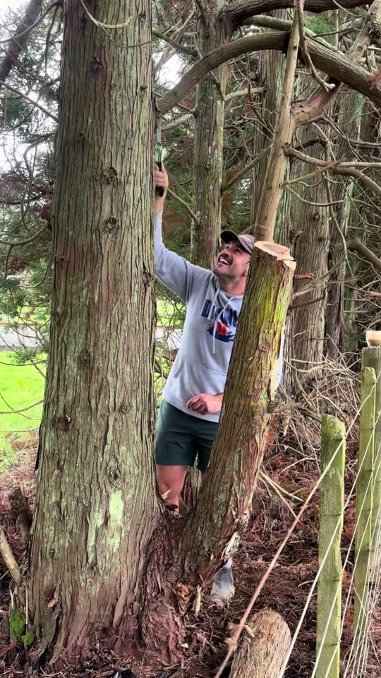 TikTok video thumbnail by mattymcleannz