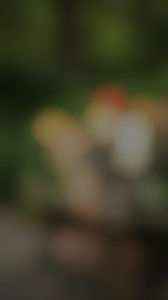 TikTok video thumbnail by puikung8