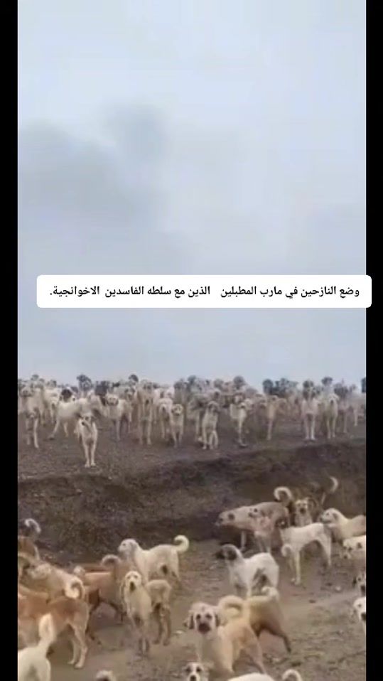 TikTok video thumbnail by adrbb3