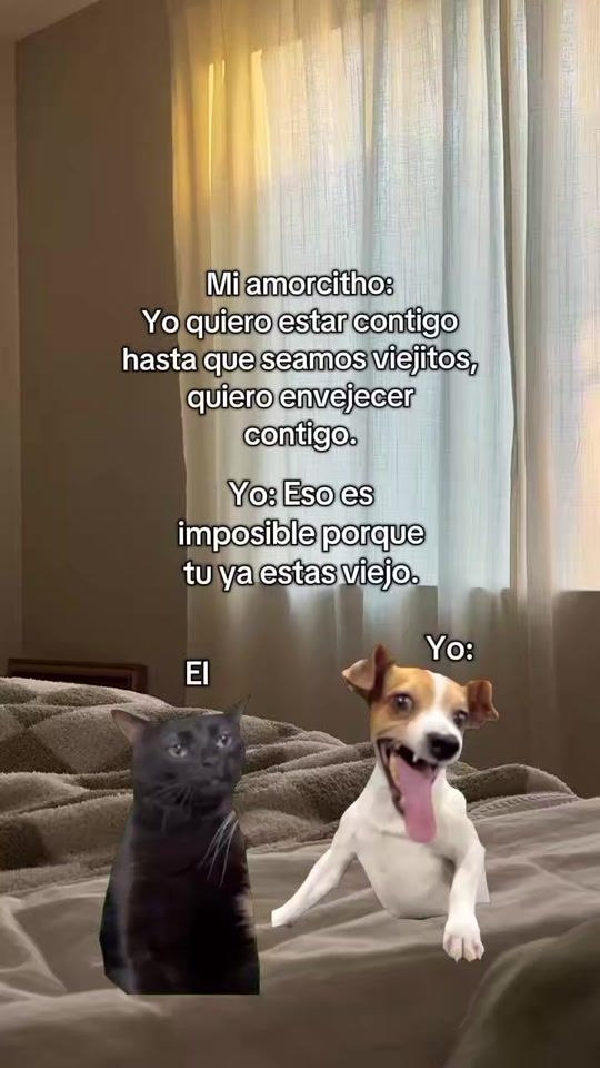 TikTok video thumbnail by queen_04_oficial