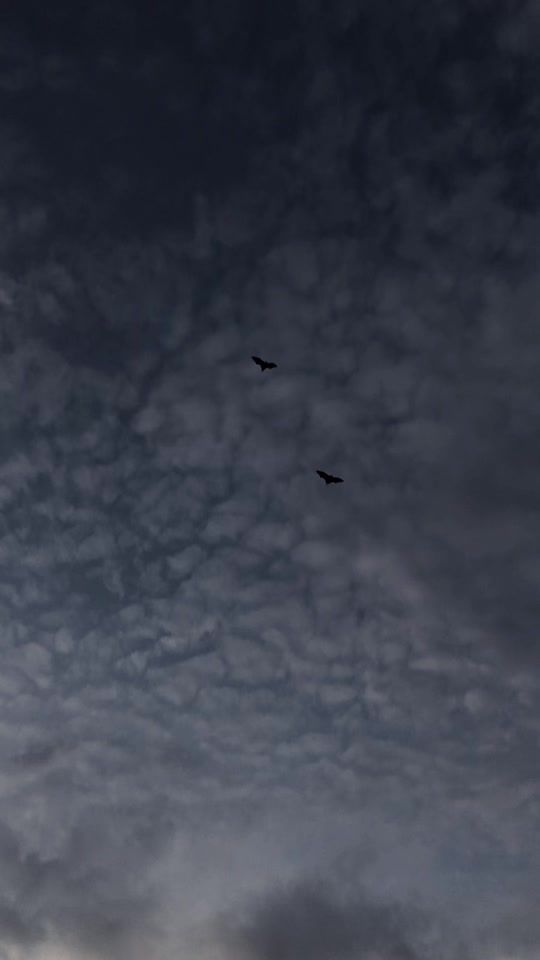 TikTok video thumbnail by iyan_senja