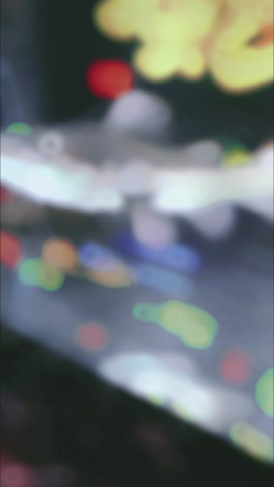 TikTok video thumbnail by 2.0461
