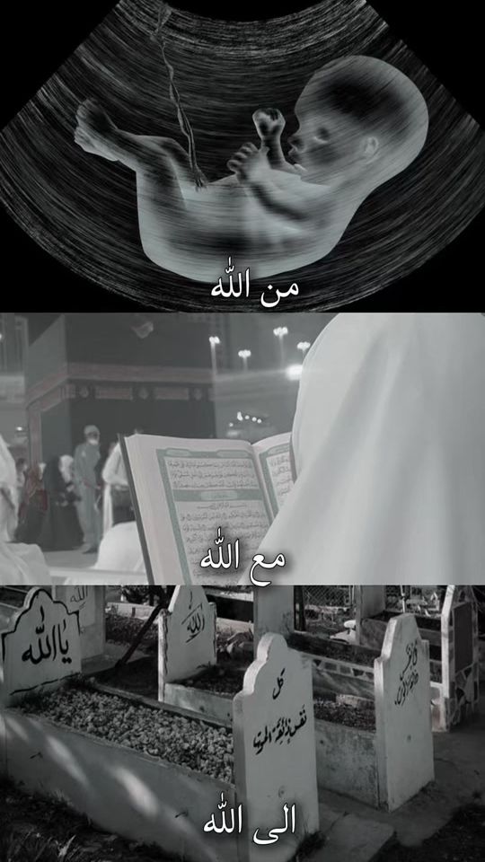 TikTok video thumbnail by azal_39