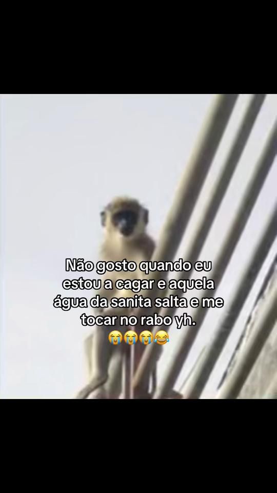 TikTok video thumbnail by wesleyyy_fg