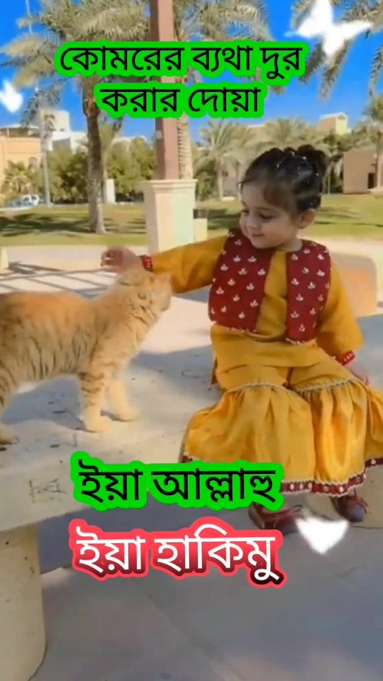 TikTok video thumbnail by taslimaakter030p