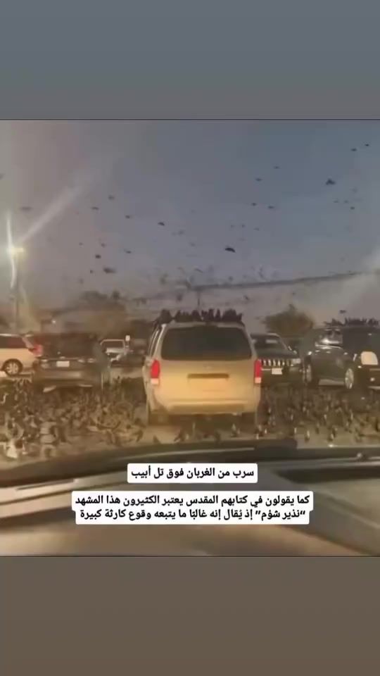TikTok video thumbnail by 12yasser9