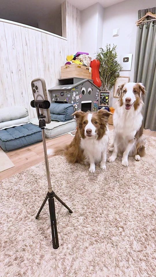 TikTok video thumbnail by lillie_bcl