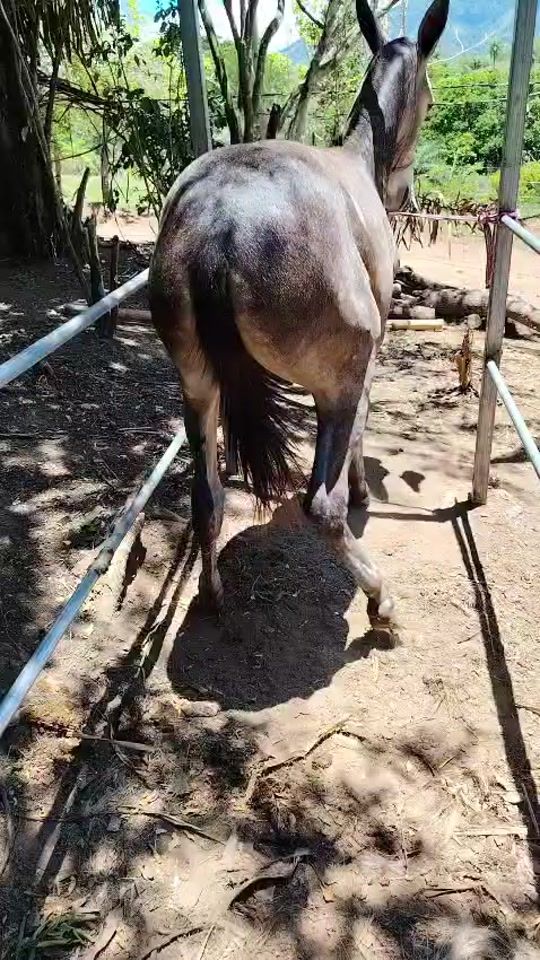 TikTok video thumbnail by garro86