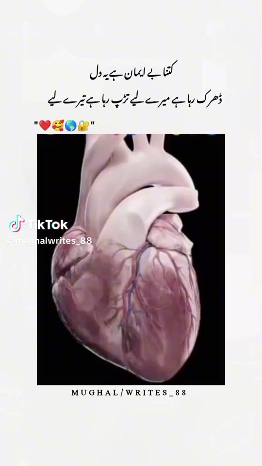 TikTok video thumbnail by mirxazamanbaig