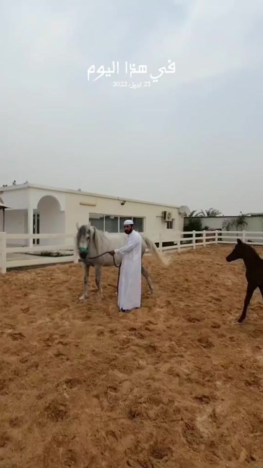 TikTok video thumbnail by ibrahimaaa_a