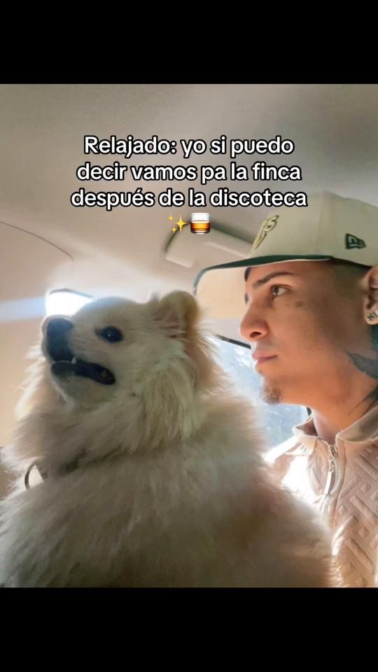 TikTok video thumbnail by adri71696