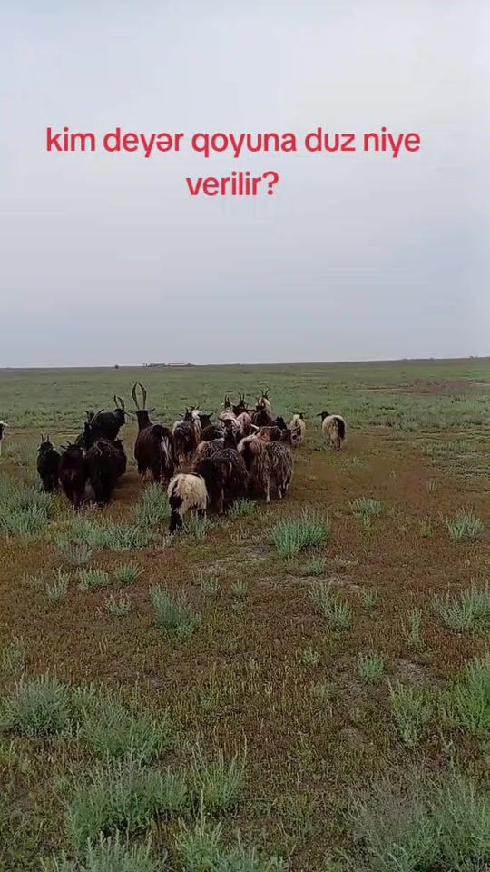 TikTok video thumbnail by senan_0065