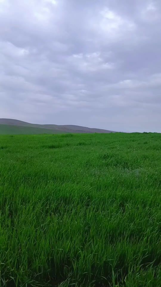 TikTok video thumbnail by a_b_r_o_r_88_89